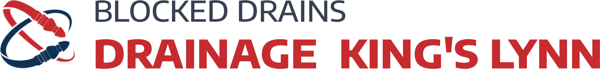 website logo